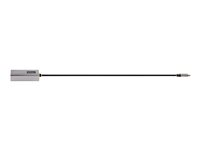 StarTech.com USB-C to Ethernet Adapter, 10/100/1000 Mbps, Gigabit Network Adapter w/ ASIX AX88179A Chip, 1ft/30cm Cable, USB Type C to RJ45 Ethernet Dongle, USB C to LAN Adapter, Windows/macOS/Linux/ChromeOS (US1GC30B2) - Nätverksadapter - USB-C - Gigabit Ethernet x 1 - grå US1GC30B2