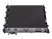 Brother BU800CL - Överföringsrem för skrivare - för P/N: US#HLEX470W, US#HLL9470CDN, US#MFCEX670W, US#MFCL9610CDN, US#MFCL9670CDN BU800CL