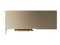 NVIDIA A30 - GPU-beräkningsprocessor - A30 - 24 GB HBM2 - PCIe 4.0 x16 - fläktlös TCSA30M-PB