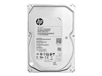 HP - Hårddisk - 2 TB - inbyggd - 3.5" - SATA 6Gb/s - 7200 rpm - för Workstation Z4 G4 (3.5") 8VE04AA#AC3