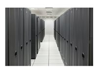HPE ProLiant Compute DL380 Gen12 OROC 2SFF U.3 Side-by-Side - Sats med lagringskablar P77480-B21