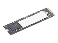 Lenovo - SSD - krypterat - 1 TB - inbyggd - M.2 2280 - PCIe 4.0 (NVMe) - TCG Opal Encryption 2.0 - för ThinkPad T14s Gen 6; X13 Gen 6; ThinkStation P2 Tower Gen 2; P3 Gen 2; P3 Ultra Gen 2 4XB1T87554