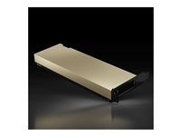 NVIDIA L4 - GPU-beräkningsprocessor - L4 - 24 GB GDDR6 - PCIe 4.0 x16 låg profil - fläktlös 900-2G193-0000-001
