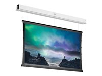 Da-Lite Tensioned DescenderPro - Projektorduk - takmontering - motoriserad - 230 V - 103.94" (264 cm) - 16:9 - Matte White (Tensioned) - RAL 9016 10106608