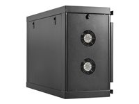 Eaton Tripp Lite Series SmartRack Wall-Mount Mini Rack Enclosure 6U Low-Profile Side-Mount Black - Rack skåp - low-profile, side-mount, mini - väggmontering - svart - 6U - 19" SRW6USM