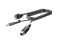 HP - DisplayPort-kabel - DisplayPort (hane) till DisplayPort (hane) - 3 m - för RP9 G1 Retail System 9015, 9018, 9118 V4P97AA