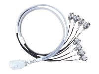 Cisco - Antennkabel - RP-N till RF-kontakt DART - 91.5 cm - koaxial - för Catalyst 9130AXE AIR-CAB003-D8-N=