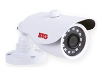 BTG BTG1235/AHQ - Övervakningskamera - kula - färg (Dag&Natt) - 2 MP - 1080p - fast lins - AHD, CVI, TVI, CVBS - DC 12 V BTG1235/AHQ