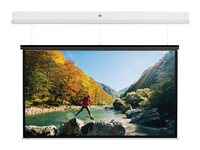 Da-Lite DescenderPro - Projektorduk - takmontering - motoriserad - 230 V - 142.91" (363 cm) - 4:3 - Matte White - RAL 9016 10141741