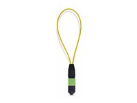 Startech - Loopback-adapter - TAA-kompatibel - MPO-12 enkelt läge (hane) - fiberoptisk - 9 / 125 mikrometer - OS1/OS2 - black and green LOOPBACKMTP12OS2SMM
