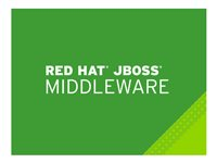 JBoss Data Grid - standardabonnemang (3 år) - 4 kärnor MW00131F3