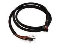 Cradlepoint - GPIO-kabel - 20 Molex dubbelradiga stift till blank tråd - 1.98 m - för COR IBR1700-1200M, IBR1700-1200M-B, IBR1700-600M 170712-000