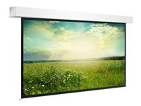 Projecta Descender Large Electrol WIDE Format - Yta på projektorduk - 199" (506 cm) - 16:9 - Matte White 10141459