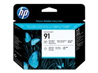 HP 91 - Ljusgrå, foto-svart - skrivhuvud - för DesignJet Z6100, Z6100ps C9463A