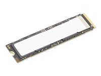Lenovo - SSD - krypterat - 4 TB - prestanda - inbyggd - M.2 2280 - PCI Express 5.0 x4 (NVMe) - TCG Opal Encryption 2.0 - CRU - för ThinkCentre neo 50q QC; ThinkPad P1 Gen 8; ThinkStation P2 Tower Gen 2; P3 Ultra Gen 2 4XB1S30116