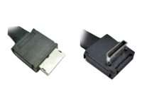 Intel OCuLink Cable Kit AXXCBL800CVCR - Intern SAS-kabel - 4i MiniLink SAS (SFF-8611) (hane) rak till 4i MiniLink SAS (SFF-8611) (hane) högervinklad - 80 cm AXXCBL800CVCR