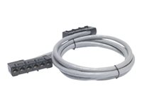 APC Data Distribution Cable - Nätverkskabel - TAA-kompatibel - RJ-45 (hona) till RJ-45 (hona) - 13.7 m - UTP - CAT 5e - stigare - grå DDCC5E-045