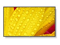 NEC MultiSync M501-2 - 50" Diagonal klass (49.5" visbar) - M Series LED-bakgrundsbelyst LCD-skärm - digital skyltning - med inbyggd mediaplayer / valfri slot-in PC-funktionalitet - 4K UHD (2160p) 3840 x 2160 - HDR - direktupplyst LED - pantone 426M 60006084