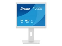 iiyama ProLite B1980S-W1 - LED-skärm - 19" B1980S-W1