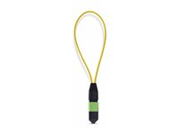 Startech - Loopback-adapter - TAA-kompatibel - MPO-12 enkelt läge (hona) - fiberoptisk - 9 / 125 mikrometer - OS1/OS2 - blå LOOPBACKMTP12OS2SMF