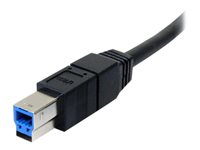 StarTech.com 10 ft Black SuperSpeed USB 3.0 Cable A to B - M/M- for P/N: PCIUSB3S4 - PEXUSB3S23 - PEXUSB3S24 - PEXUSB3S25 - PEXUSB3S44V - PEXUSB3S4V (USB3SAB10BK) - USB-kabel - USB typ A (hane) till USB Type B (hane) - USB 3.0 - 3 m - formpressad - svart - för StarTech.com 4-Port USB3SAB10BK