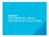 Red Hat Enterprise Linux OpenStack Platform - Med Smart Management - standardabonnemang (3 år) - 2 uttag MCT2980F3