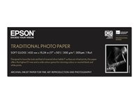 Epson Traditional Photo Paper - Rulle (43,2 cm x 15 m) - 300 g/m² - fotopapper - för SureColor P5000, P800, SC-P10000, P20000, P5000, P7500, P900, P9500 C13S045054