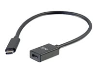 C2G 1ft USB-C to C 3.1 (Gen 1) Male to Female Extension Cable (5Gbps) - USB-förlängningskabel - 24 pin USB-C (hane) till 24 pin USB-C (hona) - USB 3.1 Gen 1 / Thunderbolt 3 - 3 A - 30 cm - formpressad - svart 88655