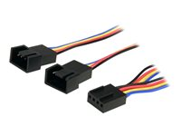 StarTech.com 12in 4 Pin Fan Power Splitter Cable - F/M - 1ft Fan Y Cable - 1ft 4-pin Fan Splitter Cable (FAN4SPLIT12) - Strömdelare för fläkt - 4-stifts PWM (hona) till 4-stifts PWM (hane) - 31 cm - för P/N: FAN1156PWM, FAN12025PWM, FAN8025PWM FAN4SPLIT12