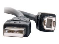 C2G 6.6ft USB A to USB B Cable - USB A to B Cable - USB 2.0 - Black - M/M - USB-kabel - USB (hane) till USB typ B (hane) - USB 2.0 - 2 m - svart 28102