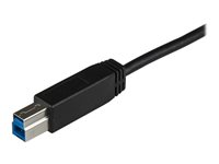 StarTech.com USB 3.1 USB-C till USB-B-kabel - 1 m - USB-kabel - 24 pin USB-C (hane) till USB Type B (hane) - USB 3.1 - 1 m - svart - för P/N: PEXUSB311AC3, PEXUSB312C3, SV231DHU34K6, SV231HU34K6, SV231QDPU34K, SV431HU34K6 USB31CB1M