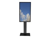 HI-ND Floorstand Glass - Ställ - för LCD-skärm/digitalspelare - metall - svart, RAL 9005 - skärmstorlek: 55" - monteringsgränssnitt: 200 x 200 mm - golvstående - för Samsung QM55R FS5511-5101-02