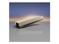 NVIDIA L40S - GPU-beräkningsprocessor - NVIDIA L40S - 48 GB - PCIe - för P/N: UCSX-440P-D-U, UCSX-440P-NEW-D, UCSX-9508-D-U UCSX-GPU-L40S