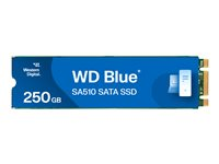 WD Blue SA510 WDS250G3B0B - SSD - 250 GB - inbyggd - M.2 2280 - SATA 6Gb/s - blå WDS250G3B0B