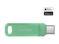 SanDisk Ultra Dual Drive Luxe - USB flash-enhet - 256 GB - USB 3.2 Gen 1 / USB-C - absinthe green SDDDC3-256G-G46AG