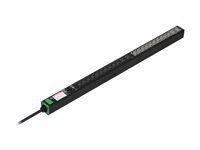 Schneider Basic - Kraftdistributionsenhet (kan monteras i rack) - vertikal - AC 200-240 V - 7.4 kW - 1-fas - ingång: IEC 60309 - utgångskontakter: 24 (20 x IEC 60320 C13, 4 x IEC 60320 C19) - 0U - 2 m sladd SEP6127G