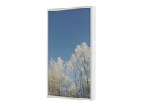 HI-ND Wall Casing EASY 50" Portrait - Monteringssats (hölje) - för LCD-panel för digital skyltning - metall, polykarbonat - vit, RAL 9003 - skärmstorlek: 50" - väggmonterbar - för Samsung QB50B, QB50R-B, QM50R, QM50R-A, QM50R-B WC5012-5001-01
